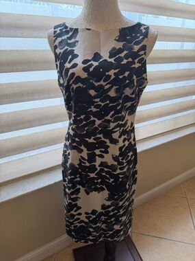 Ann Taylor Black and Cream Sheath Dress